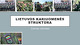 Lietuvos kariuomenės struktūra projektas