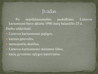Lietuvos kariuomenės pajėgos 2