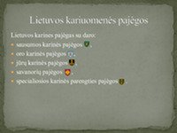 Lietuvos kariuomenės pajėgos 3