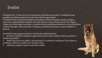 Policijos šunys 3
