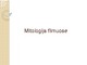 Mitologija filmuose
