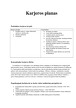 Karjeros planas (4) 