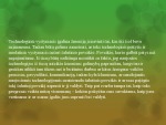 Visuomenės raida: Racionalus laiko planavimas 2