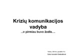Krizių vadyba 1