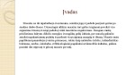 SPA veido ir kūno masažai. Naudojimas, poveikis sveikatai 3