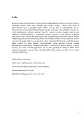 Masažo poveikis veido odai 3