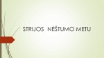 Strijos nėštumo metu 1