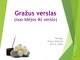 Gražus verslas nuo idėjos iki verslo