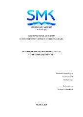 Vidiniai ir išoriniai veiksniai veido odai 1