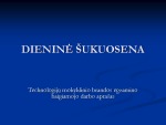 Dieninė šukuosena 1