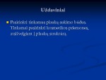 Dieninė šukuosena 3
