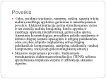 Elektrostimuliacija skaidrės 3