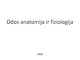 Odos anatomija ir fiziologija skaidrės