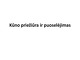 Kūno priežiūra ir puoselėjimas 