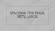 Spalviniai tipai pagal metų laikus