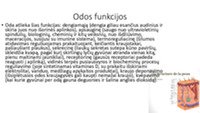 Odos sandara ir priežiūra 3