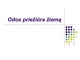 Odos priežiūra žiemą