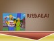 Riebalai ir jų rūšys 