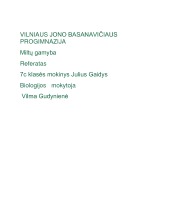 Miltų gamyba referatas 1