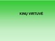 Kinu virtuvė skaidrės