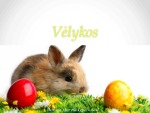 Vėlykos skaidrės (3) 1