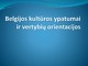 Belgijos kultūros ypatumai ir vertybių orientacijos 