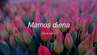 Mamos diena skaidrės 1