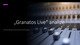 „Granatos live“ festivalis