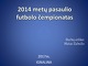 Pasaulio futbolo čempionatas 2014 m. 