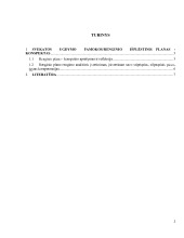 Sveikatos ugdymo pamokos - renginio išplėstinis planas - konspektas 2