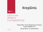 Dažniausiai pasitaikančios traumos krepšinyje 1