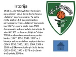 Žalgirio komanda 3