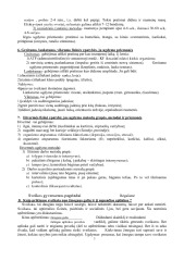 Fizinis parengimas 3