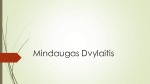 Mindaugas Dvylaitis 1