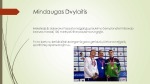 Mindaugas Dvylaitis 3