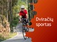 Dviračių sportas