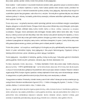 Fizinio ugdymo samprata, sąvokos 1