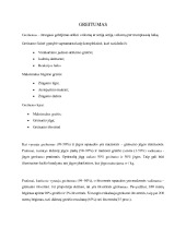 Bėgimas ir greitumo samprata 1
