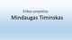 Mindaugas Timinskas