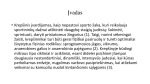 Krepšininkų fizinės ypatybės ir jų lavinimas 2
