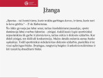 Sukčiavimas sporte 2