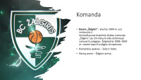 Kauno Žalgiris 3