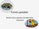 Fizinės ypatybės skaidrės