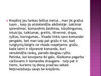 Komandinis žaidimas - krepšinis 2