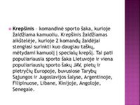 Mano svajonių profesija - krepšininkas 3