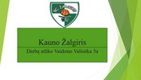 Skaidrės apie Kauno Žalgirį 1
