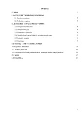 Futbolas 2