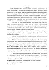 Futbolas 3
