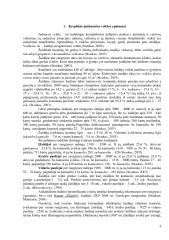 Krepšinis referatas 3