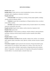Sporto šventė scenarijus 1